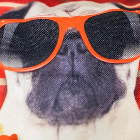 Apartamento Ibirriaga - Baskeyrentals *